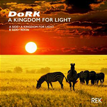 DoRK - A kingdom for light